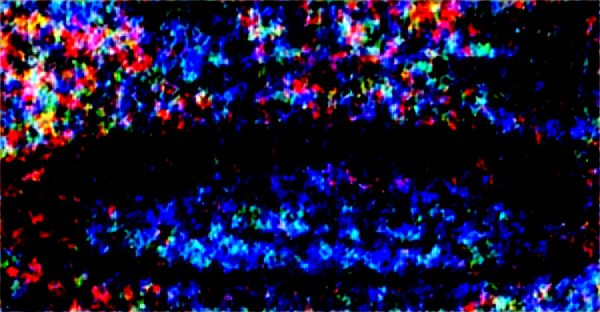 Soufflets en toile : la solution idéale pour l'industrie exigeante